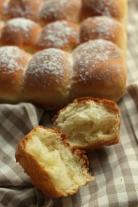» Brioche butchy